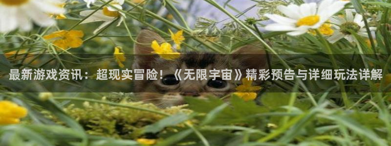 优贝娱乐主管