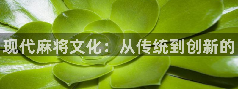 优贝娱乐怎么注册：现代麻将文化：从传统到创新的