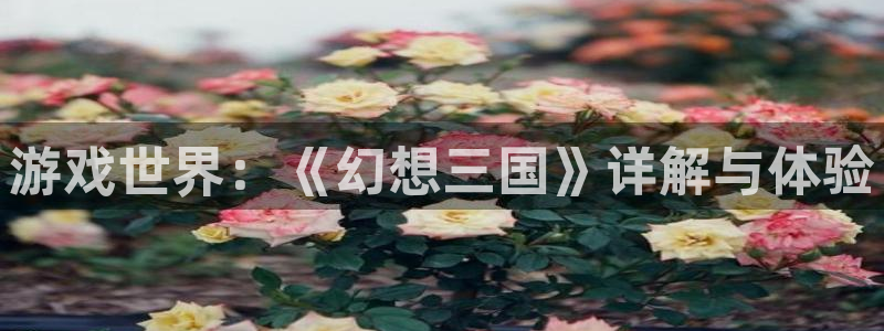 优贝娱乐官网：游戏世界：《幻想三国》详解与体验