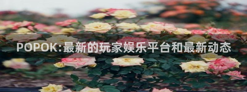 优贝娱乐平台官网客服电话：POPOK:最新的玩家娱乐平台和最