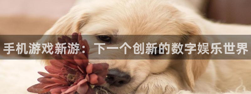 优贝娱乐直属：手机游戏新游：下一个创新的数字娱乐世界