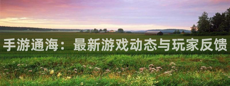 优贝娱乐4招商：手游通海：最新游戏动态与玩家反馈